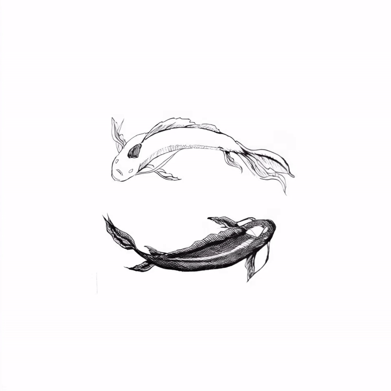 Koi fish ink sketch