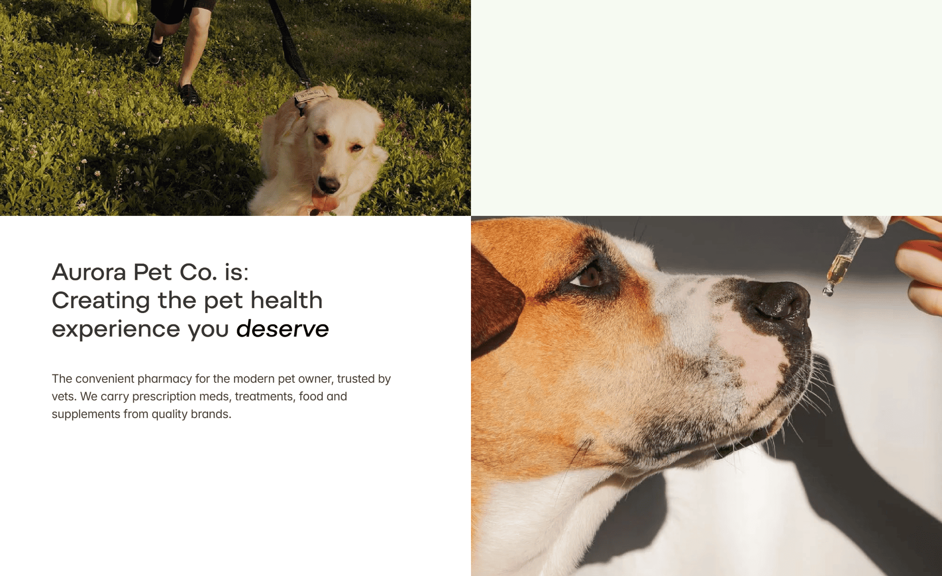 Aurora Pet Co. home screen