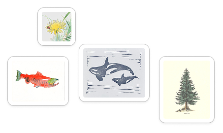 Orca illustration